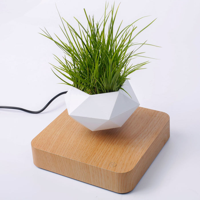 Floating and rotating plant pot holder